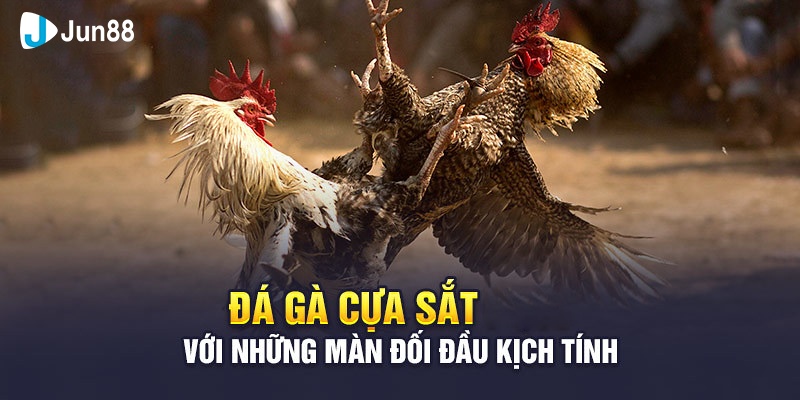 Đá Gà Cựa Sắt Jun88 - Trò Chơi Hấp Dẫn Mọi Kê Thủ 2024
